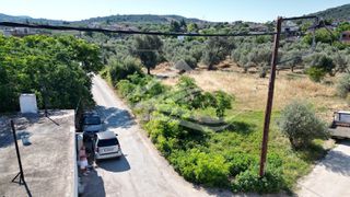 Οικόπεδο 1.326 τ.μ. για πώληση, Εύβοια, Ληλάντιο-thumb-14