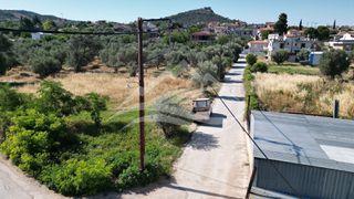 Οικόπεδο 1.326 τ.μ. για πώληση, Εύβοια, Ληλάντιο-thumb-15