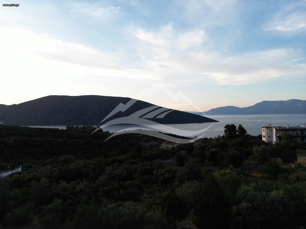 Οικόπεδο 1.700 τ.μ. πρός πώληση, Εύβοια, Ανθηδώνος