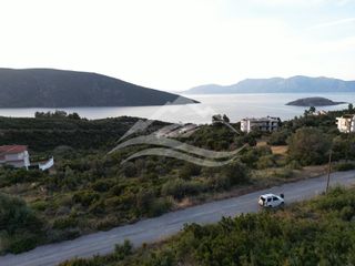 Οικόπεδο 1.700 τ.μ. για πώληση, Εύβοια, Ανθηδώνος-thumb-4