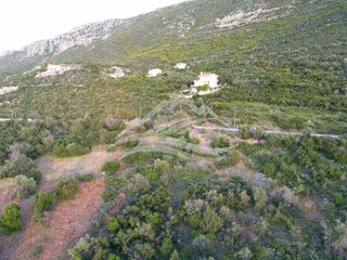 Οικόπεδο 1.700 τ.μ. για πώληση, Εύβοια, Ανθηδώνος-thumb-5
