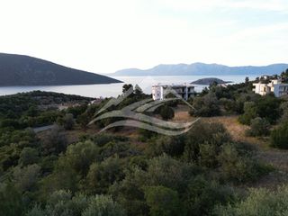 Οικόπεδο 1.700 τ.μ. για πώληση, Εύβοια, Ανθηδώνος-thumb-9