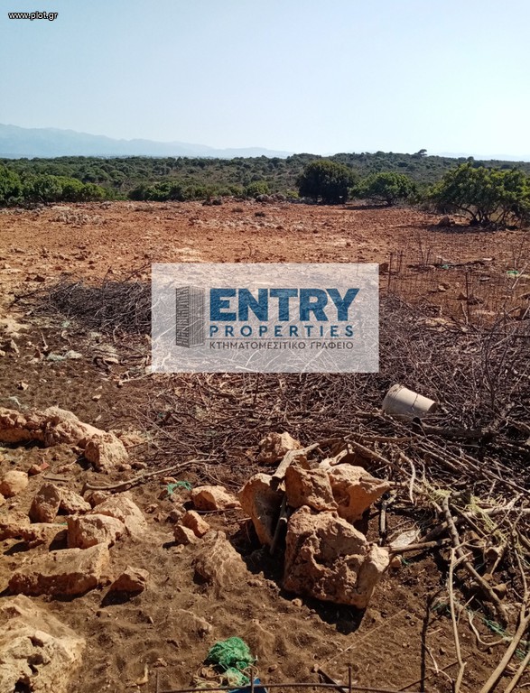 Οικόπεδο 10.178 τ.μ. προς πώληση, Χωραφάκια