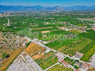 Οικόπεδο 1.338 τ.μ. για πώληση, Αργολίδα, Νέα Τίρυνθα-thumb-6