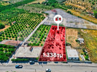 Οικόπεδο 1.338 τ.μ. για πώληση, Αργολίδα, Νέα Τίρυνθα-thumb-9