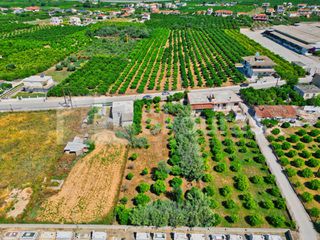 Οικόπεδο 1.338 τ.μ. για πώληση, Αργολίδα, Νέα Τίρυνθα-thumb-8