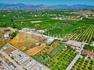 Οικόπεδο 1.338 τ.μ. για πώληση, Αργολίδα, Νέα Τίρυνθα-thumb-2