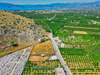 Οικόπεδο 1.338 τ.μ. για πώληση, Αργολίδα, Νέα Τίρυνθα-thumb-5
