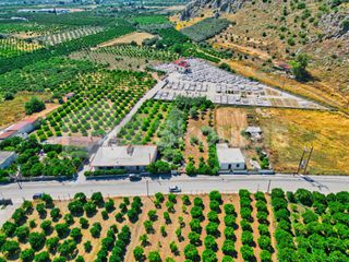 Οικόπεδο 1.338 τ.μ. για πώληση, Αργολίδα, Νέα Τίρυνθα-thumb-15