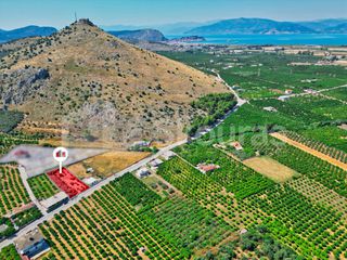 Οικόπεδο 1.338 τ.μ. για πώληση, Αργολίδα, Νέα Τίρυνθα-thumb-1