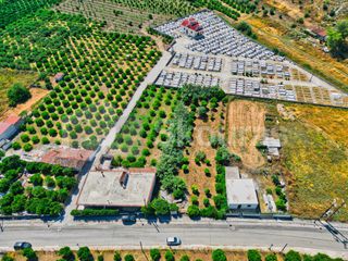 Οικόπεδο 1.338 τ.μ. για πώληση, Αργολίδα, Νέα Τίρυνθα-thumb-4