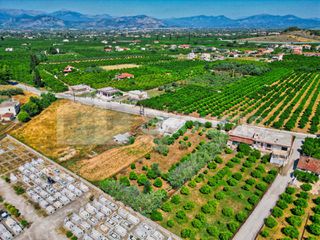 Οικόπεδο 1.338 τ.μ. για πώληση, Αργολίδα, Νέα Τίρυνθα-thumb-10