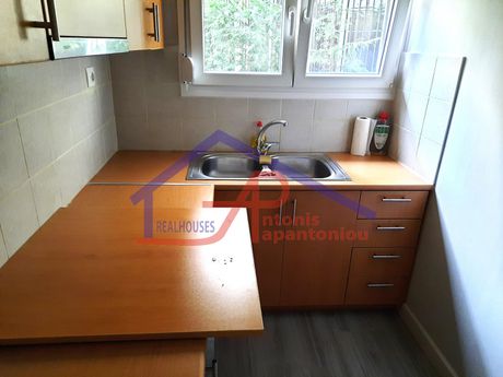 Studio 40 sqm for rent