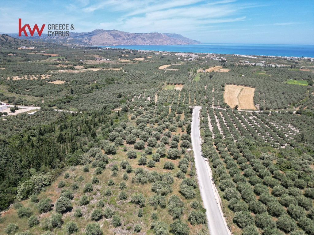 Οικόπεδο 3.439 τ.μ. προς πώληση, Κουρνά