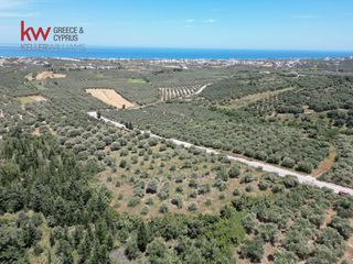 Οικόπεδο 3.439 τ.μ. για πώληση