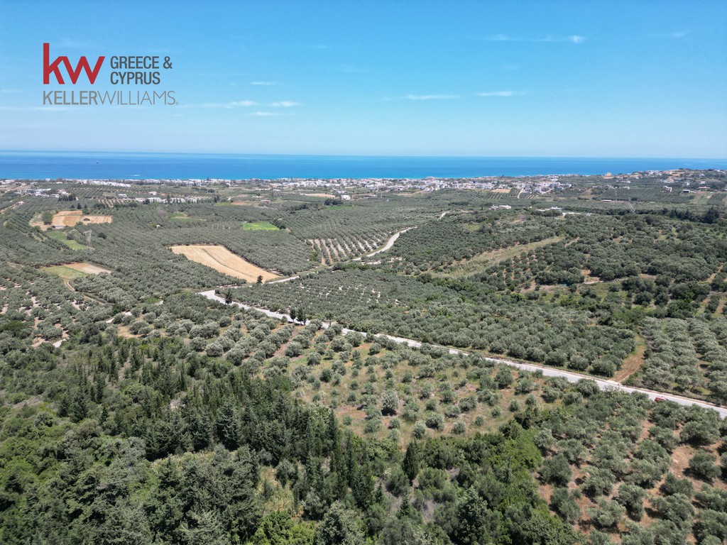 Οικόπεδο 3.439 τ.μ. προς πώληση, Κουρνά