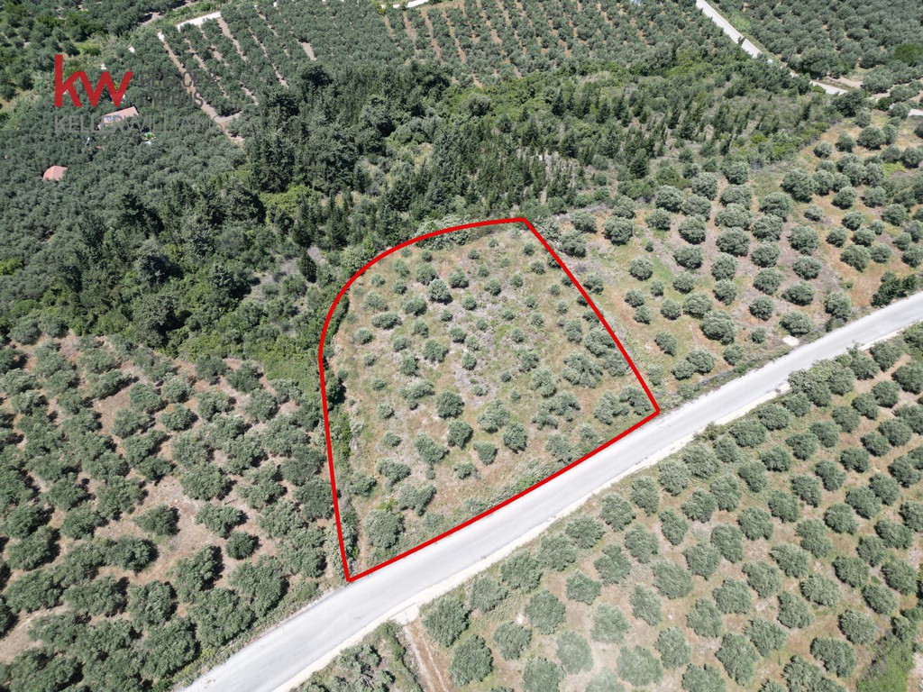 Οικόπεδο 3.439 τ.μ. προς πώληση, Κουρνά