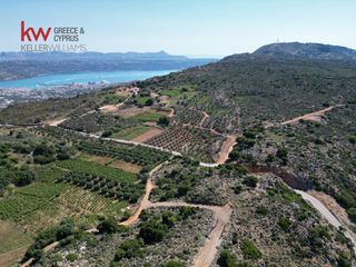 Οικόπεδο 4.063,26 τ.μ. προς πώληση, Μαλάξα-thumb-8