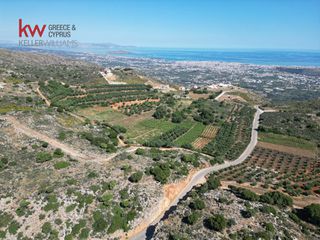 Οικόπεδο 4.063,26 τ.μ. προς πώληση, Μαλάξα-thumb-6