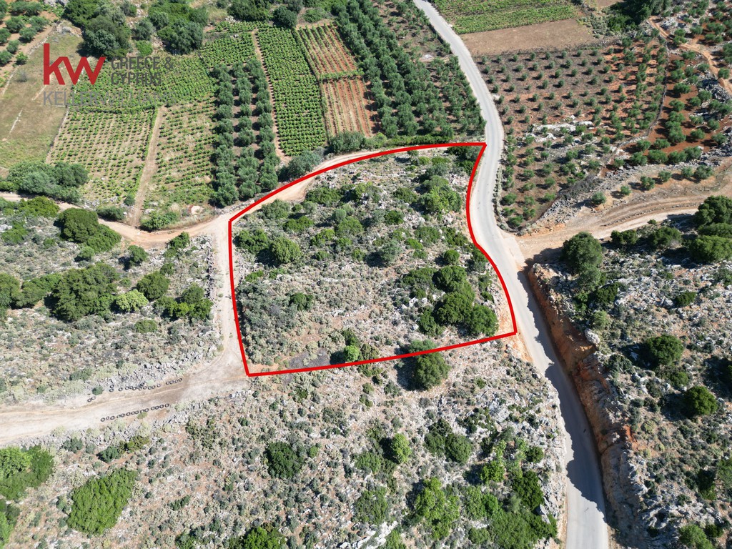Οικόπεδο 4.063,26 τ.μ. προς πώληση, Μαλάξα