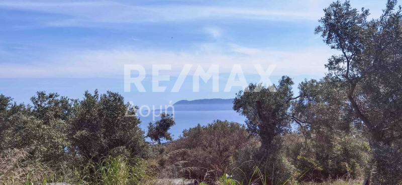 Αγροτεμάχια 2.159 τ.μ. πρός πώληση, Μαγνησία, Σηπιάδα
