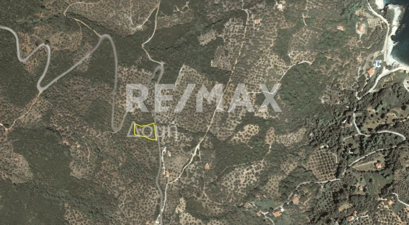 Αγροτεμάχια 2.159 τ.μ. πρός πώληση, Μαγνησία, Σηπιάδα
