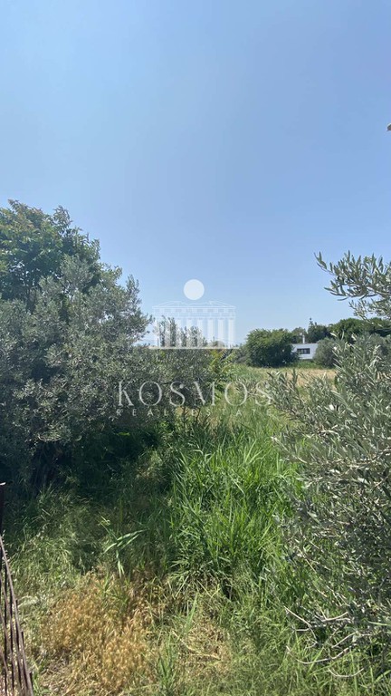Οικόπεδο 2.150 τ.μ. προς πώληση, Άγιος Νικόλαος Ληλαντίου