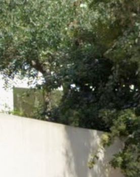 Διαμέρισμα 70τ.μ. για ενοικίαση-Βούλα » Κέντρο
