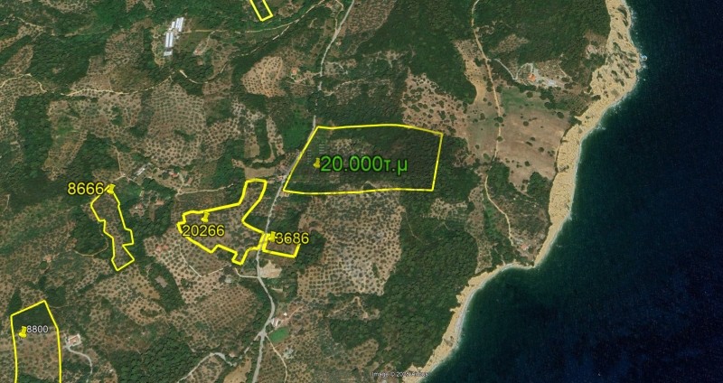 Αγροτεμάχια 20.000 τ.μ. προς πώληση, Μαγνησία, Σηπιάδα