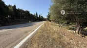 Οικόπεδο 4.265τ.μ. για πώληση-Κεφαλονιά » Έρισος