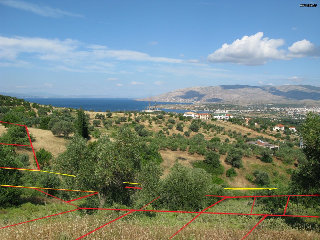 Οικόπεδο 570 τ.μ. πρός πώληση, Εύβοια, Δύστος