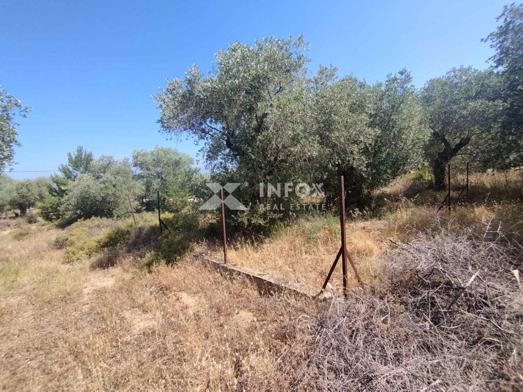 Οικόπεδο 252 τ.μ. προς πώληση, Σκάλα Σωτήρος