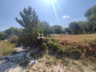Οικόπεδο 252 τ.μ. προς πώληση, Σκάλα Σωτήρος-thumb-12