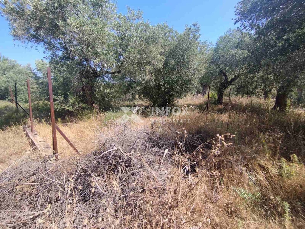Οικόπεδο 252 τ.μ. προς πώληση, Σκάλα Σωτήρος