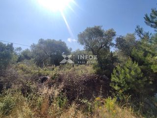 Οικόπεδο 252 τ.μ. προς πώληση, Σκάλα Σωτήρος-thumb-11