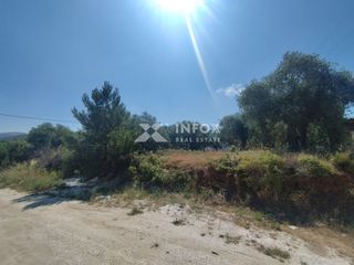 Οικόπεδο 252 τ.μ. προς πώληση, Σκάλα Σωτήρος-thumb-15