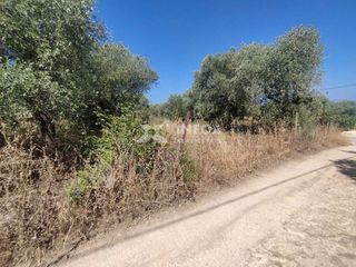Οικόπεδο 252 τ.μ. προς πώληση, Σκάλα Σωτήρος-thumb-9
