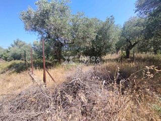 Οικόπεδο 252 τ.μ. προς πώληση, Σκάλα Σωτήρος-thumb-7