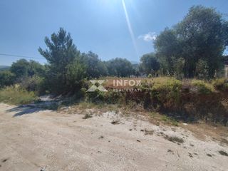 Οικόπεδο 252 τ.μ. προς πώληση, Σκάλα Σωτήρος-thumb-13