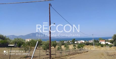 Land plot 350sqm for sale-Nea Artaki » Center