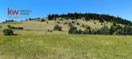 Land plot 4.661,9sqm for sale-Arachova