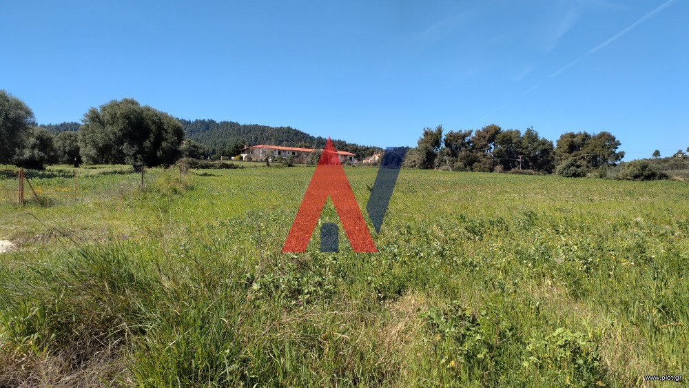 Αγροτεμάχια 4.500 τ.μ. προς πώληση, Παλιούρι Παλλήνης