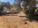 Οικόπεδο 368τ.μ. για πώληση-Σέριφος » Λιβάδι