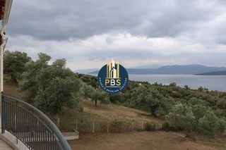 Μονοκατοικία 380 τ.μ. για πώληση, Εύβοια, Αιδηψός-thumb-22