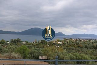 Μονοκατοικία 380 τ.μ. για πώληση, Εύβοια, Αιδηψός-thumb-18