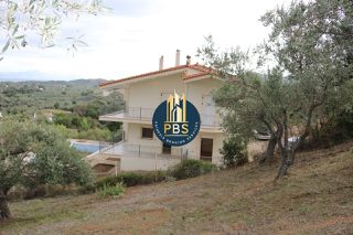 Μονοκατοικία 380 τ.μ. για πώληση, Εύβοια, Αιδηψός-thumb-11