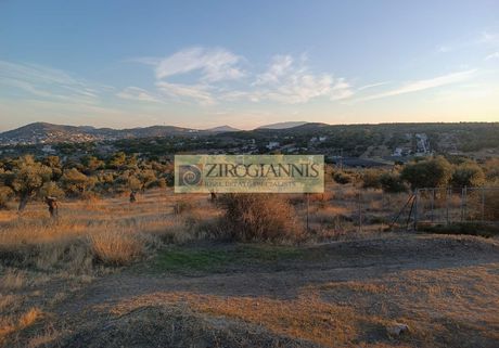 Αγροτεμάχια 754τ.μ. για πώληση-Σπάτα