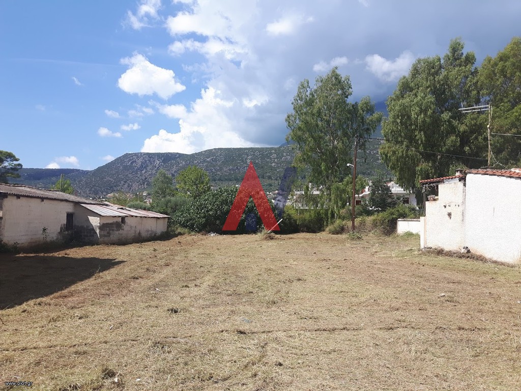 Οικόπεδο 630 τ.μ. πρός πώληση, Φωκίδα, Άμφισσα