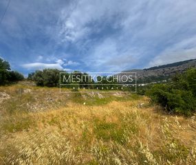 Οικόπεδο 1.078,08 τ.μ. πρός πώληση, Ν. Χίου, Χίος-thumb-19