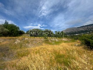 Οικόπεδο 1.078,08 τ.μ. πρός πώληση, Ν. Χίου, Χίος-thumb-16